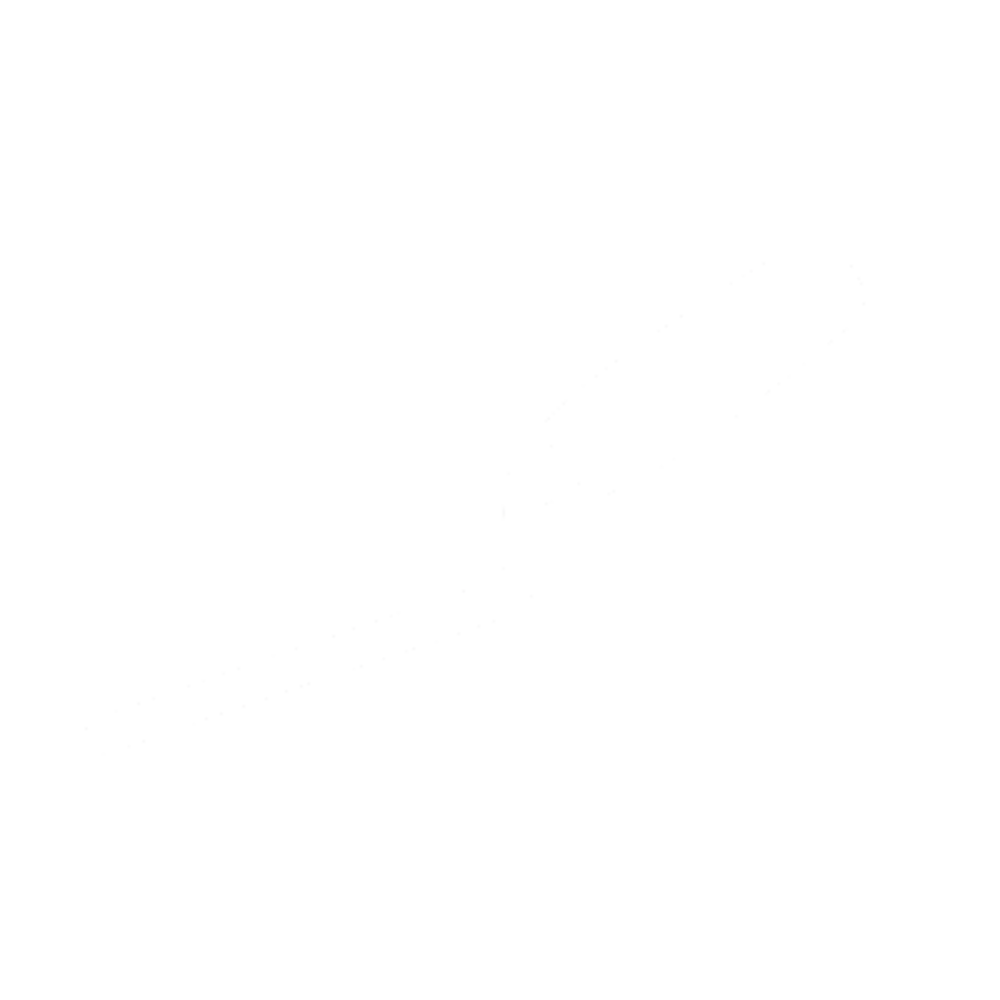 Spijker
